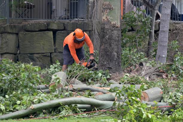 Leaf Removal in Oakland, NJ